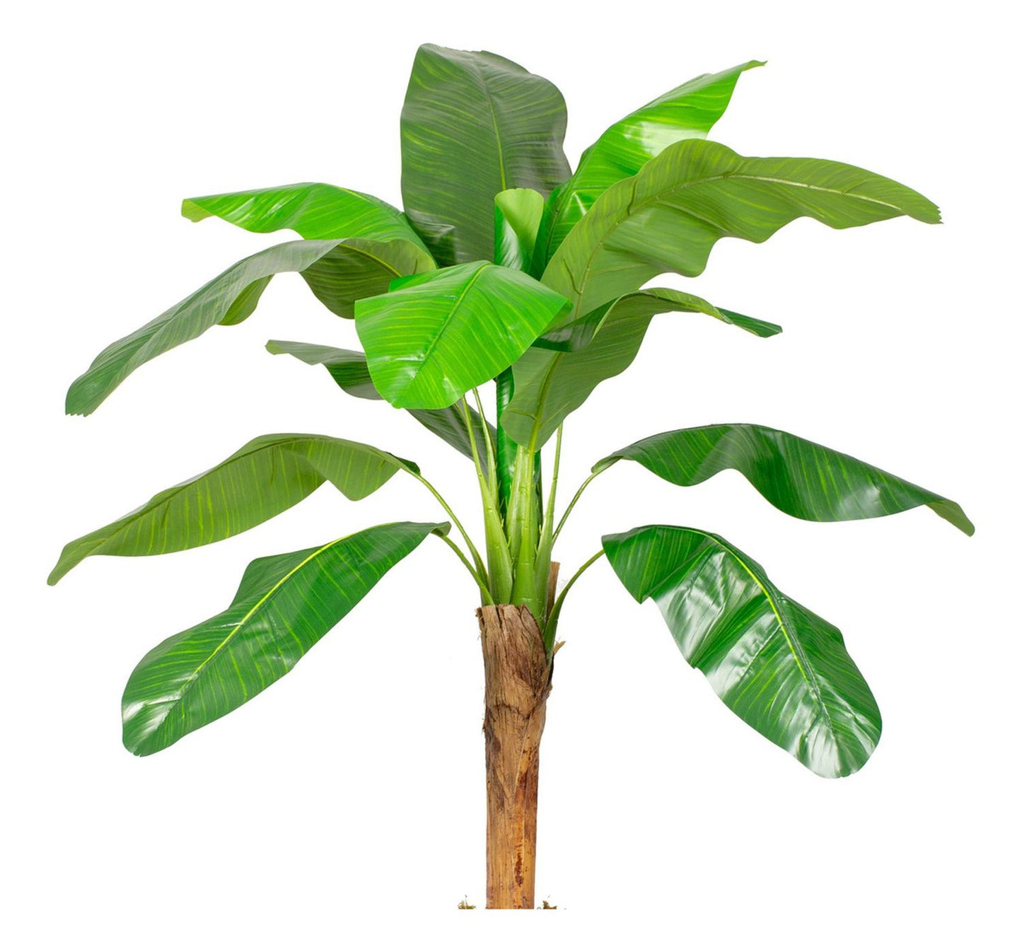 jpg_1500x1500_62156625