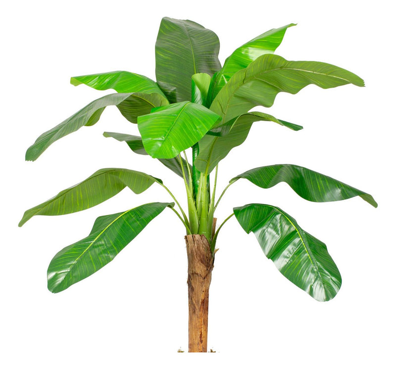 jpg_1500x1500_62156625