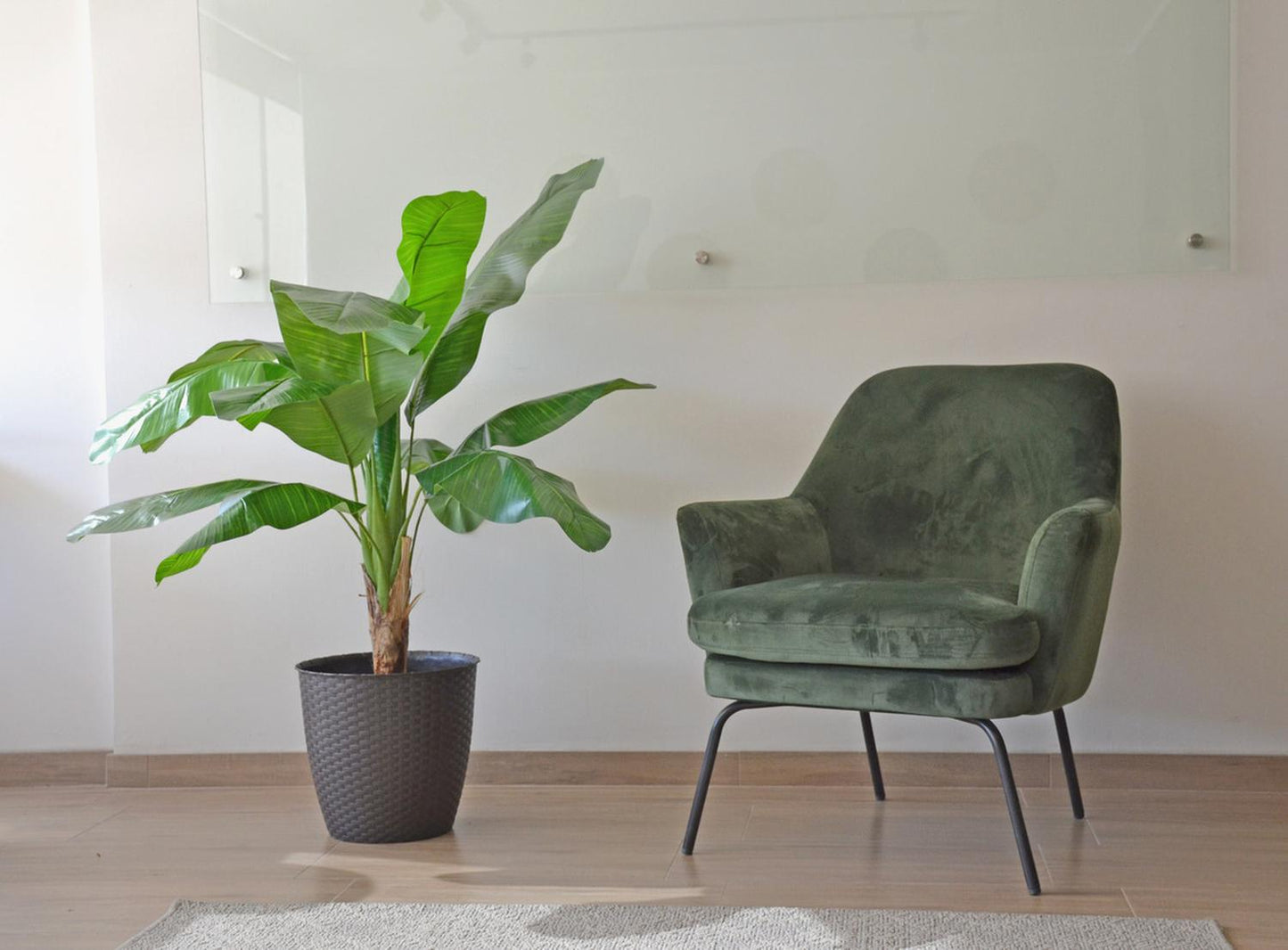 jpg_1500x1500_62156627