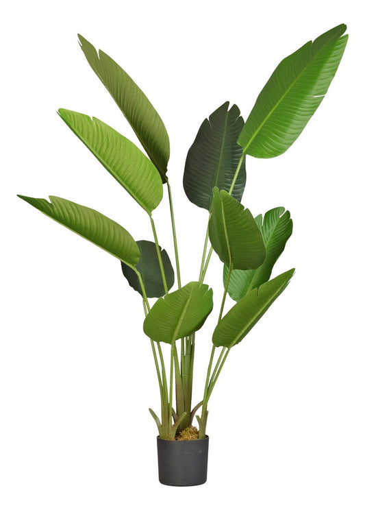 Planta Artificial Ave del Paraiso 160 cm. Premium 10 hojas - Arbusto Real