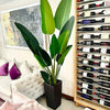 Planta Artificial Ave del Paraiso 180 cm. Premium 12 hojas - Arbusto Real