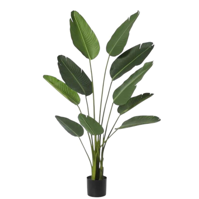 Planta Artificial Ave del Paraiso 180 cm. Premium 12 hojas - Arbusto Real