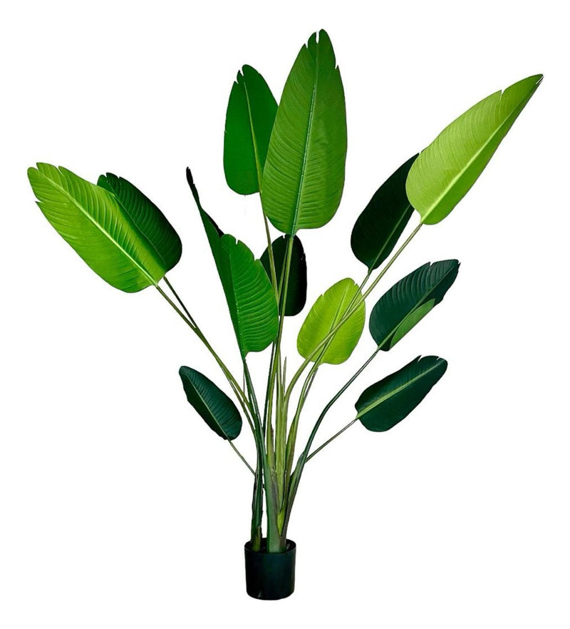 Planta Artificial Ave del Paraiso 180 cm. Premium 12 hojas - Arbusto Real