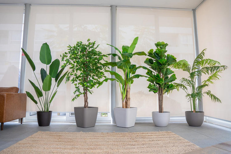 Planta Artificial Ave del Paraiso 180 cm. Premium 12 hojas - Arbusto Real