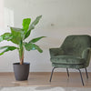 Planta Artificial Banano 125 cm. Premium 12 hojas - Arbusto Real