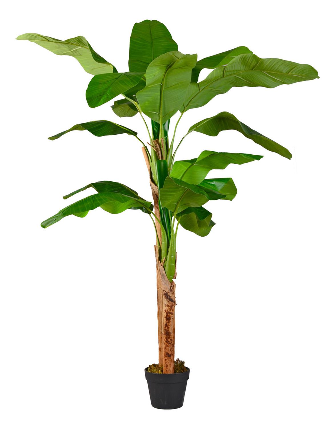 Planta Artificial Banano 160 cm. Premium 15 hojas - Arbusto Real