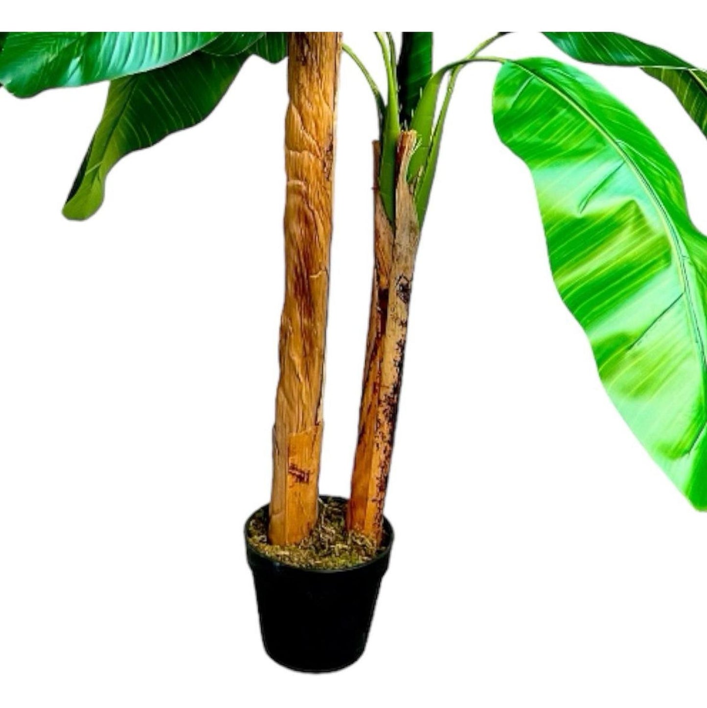 Planta Artificial Banano 160 cm. Premium 15 hojas - Arbusto Real