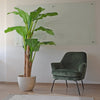 Planta Artificial Banano 180 cm. Premium 14 hojas - Arbusto Real