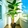 Planta Artificial Banano 180 cm. Premium 14 hojas - Arbusto Real