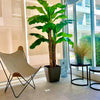 Planta Artificial Banano 230 cm. Premium 26 hojas - Arbusto Real