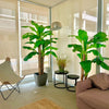 Planta Artificial Banano 230 cm. Premium 26 hojas - Arbusto Real