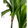 Planta Artificial Dracaena 165 Cm. Premium / Arbusto Real - Arbusto Real