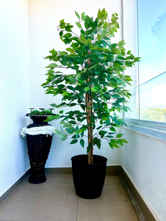 Planta Artificial Ficus Benjamina 160 cm. Premium 1085 hojas - Arbusto Real