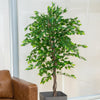 Planta Artificial Ficus Benjamina 180 cm. Premium 1.260 hojas - Arbusto Real