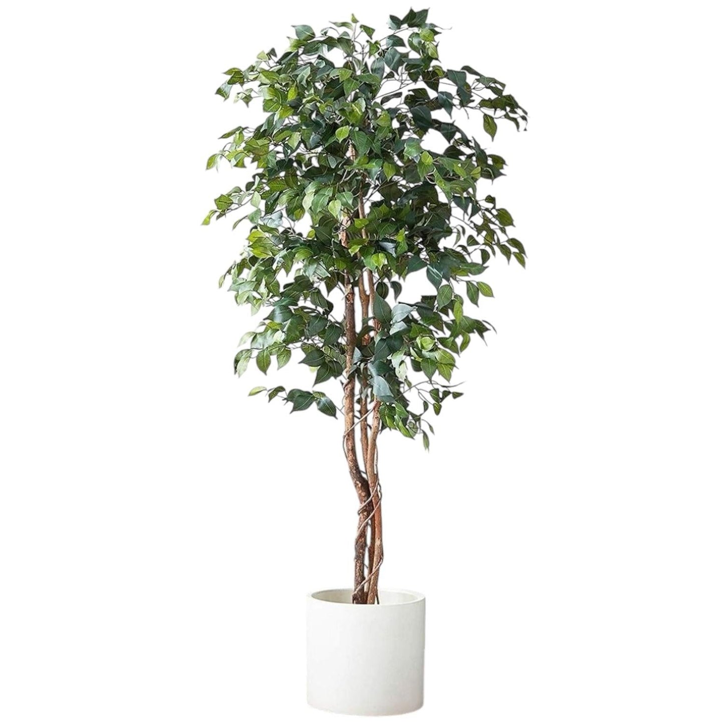 Planta Artificial Ficus Benjamina 180 cm. Premium 1.260 hojas - Arbusto Real