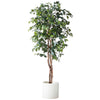 Planta Artificial Ficus Benjamina 180 cm. Premium 1.260 hojas - Arbusto Real