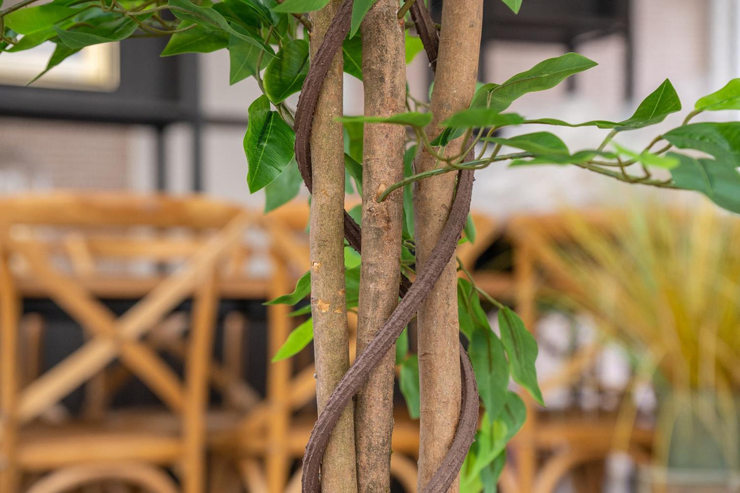 Planta Artificial Ficus Benjamina 180 cm. Premium 1.260 hojas - Arbusto Real