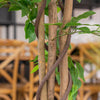 Planta Artificial Ficus Benjamina 180 cm. Premium 1.260 hojas - Arbusto Real