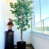 Planta Artificial Ficus Benjamina 180 cm. Premium 1.260 hojas - Arbusto Real