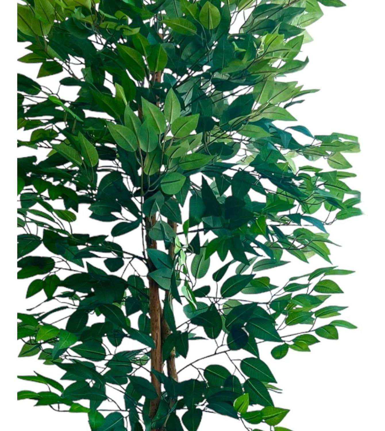 Planta Artificial Ficus Benjamina 180 cm. Premium 1.260 hojas - Arbusto Real