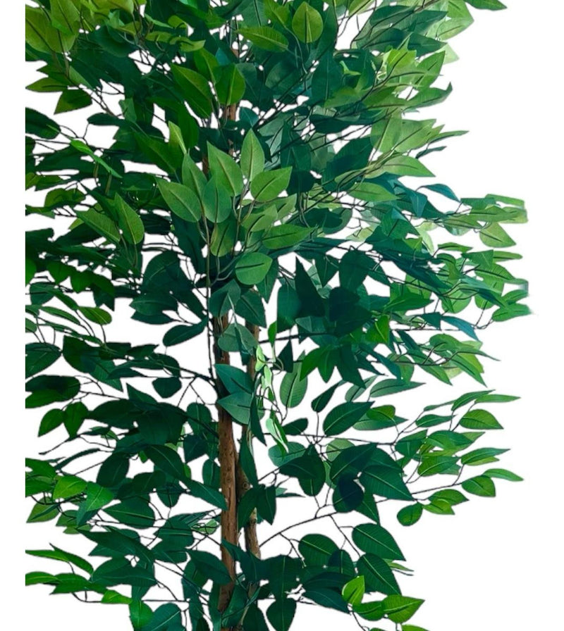 Planta Artificial Ficus Benjamina 180 cm. Premium 1.260 hojas - Arbusto Real