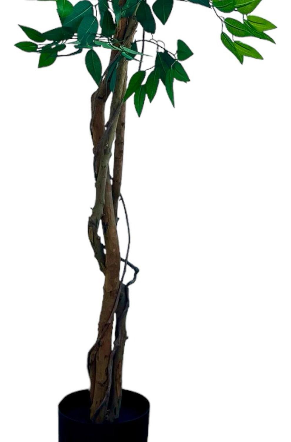 Planta Artificial Ficus Benjamina 180 cm. Premium 1.260 hojas - Arbusto Real