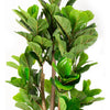Planta Artificial Ficus Lyrata 120 cm Premium 134 hojas - Arbusto Real
