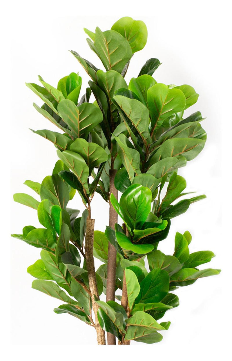 Planta Artificial Ficus Lyrata 120 cm Premium 134 hojas - Arbusto Real
