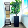 Planta Artificial Ficus Lyrata 120 cm Premium 134 hojas - Arbusto Real