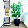 Planta Artificial Ficus Lyrata 120 cm Premium 134 hojas - Arbusto Real