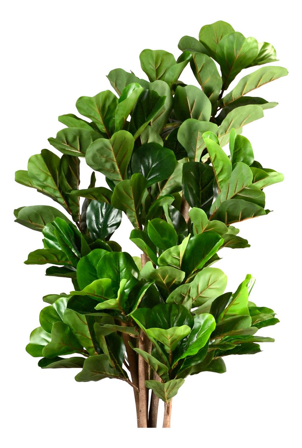 Planta Artificial Ficus Lyrata 150 cm. Premium 180 hojas - Arbusto Real