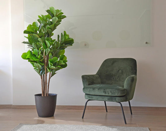 Planta Artificial Ficus Lyrata 150 cm. Premium 180 hojas - Arbusto Real