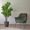 Planta Artificial Ficus Lyrata 150 cm. Premium 180 hojas - Arbusto Real
