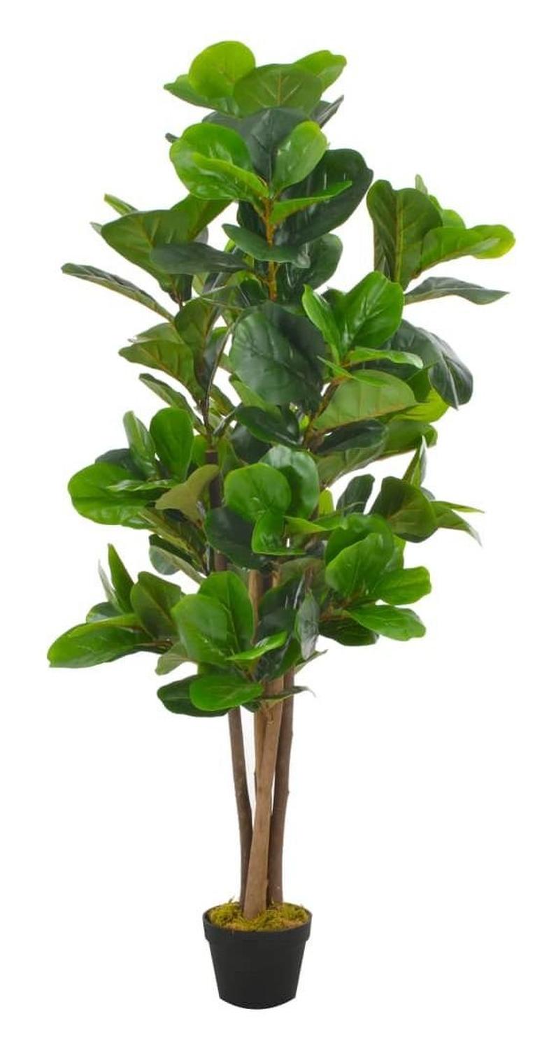 Planta Artificial Ficus Lyrata 150 cm. Premium 180 hojas - Arbusto Real